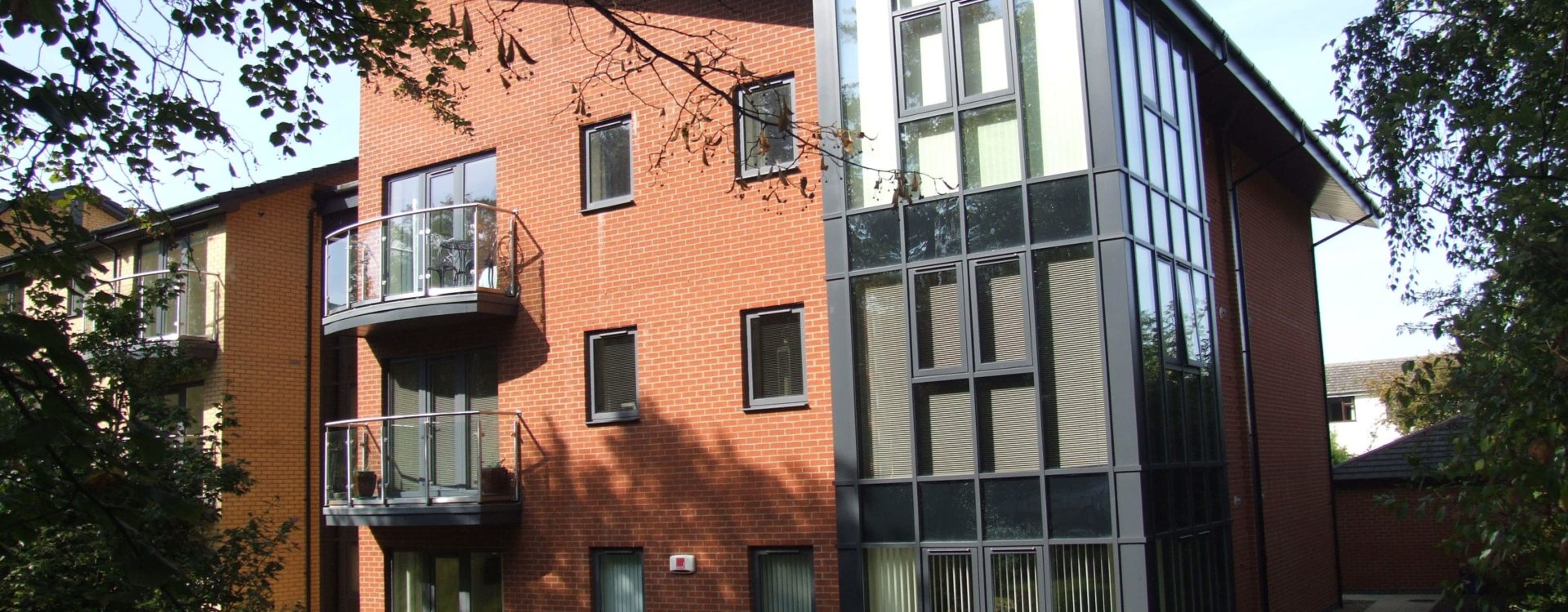 commercial windows surrey